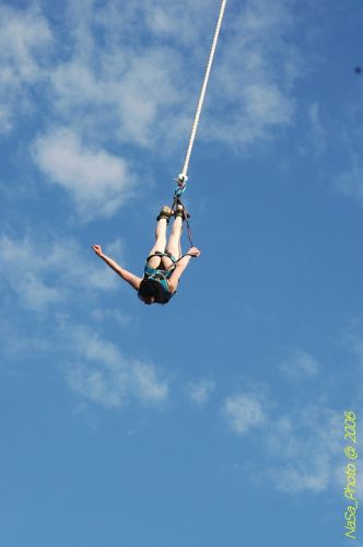 DSC_8332.jpg