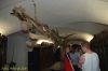 Filename=DSC_8270.jpg
Filesize=186KiB
Dimensions=640x425
Date added=Jul 18, 2006 DSC_8270.jpg