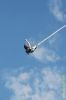 Filename=DSC_8328.jpg
Filesize=189KiB
Dimensions=425x640
Date added=Jul 18, 2006 DSC_8328.jpg