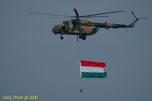 DSC_8515.jpg