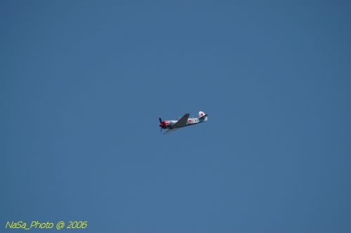 DSC_8517.jpg