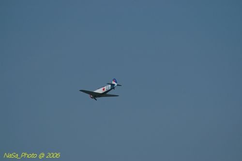 DSC_8518.jpg