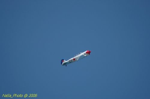 DSC_8519.jpg