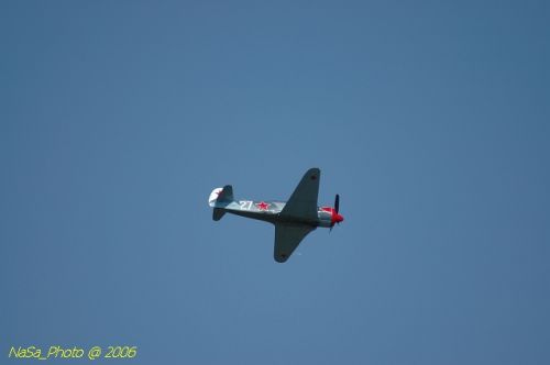 DSC_8520.jpg