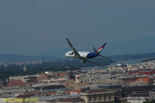 DSC_8556.jpg