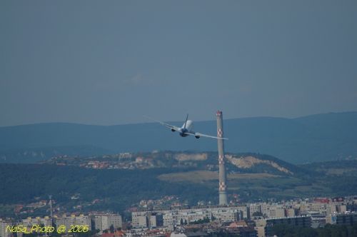 DSC_8558.jpg