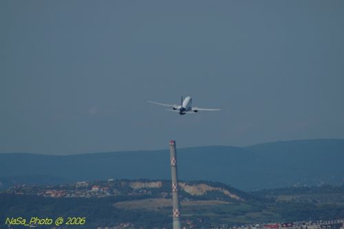 DSC_8559.jpg