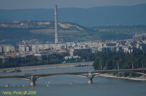 DSC_8567.jpg