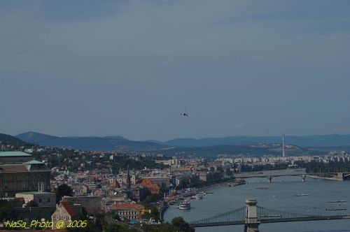 DSC_8573.jpg