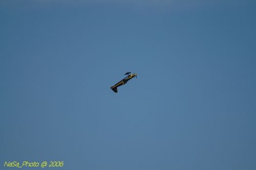 DSC_8609.jpg