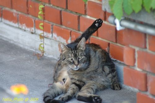 DSC_8641.jpg