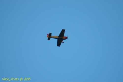 DSC_8654.jpg