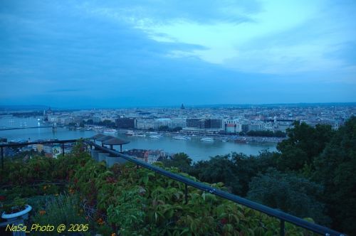 DSC_8662.jpg
