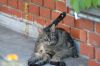 DSC_8641.jpg