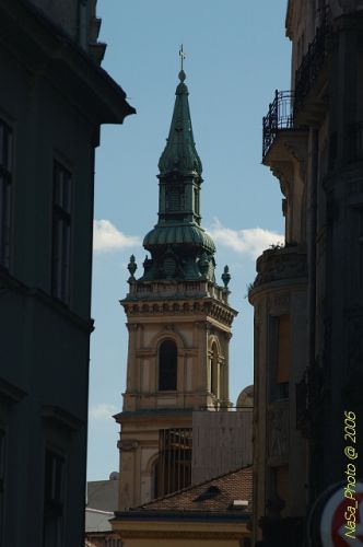 DSC_9494.jpg