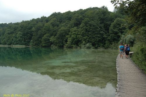 DSC_2564.JPG
