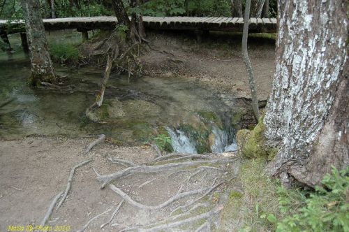 DSC_2568.JPG
