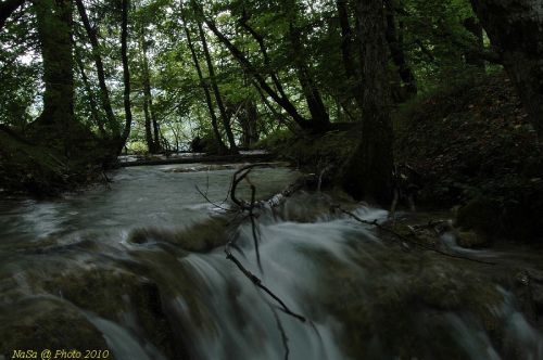 DSC_2569.JPG