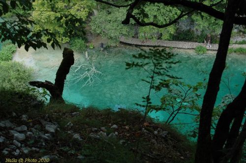DSC_2638.JPG