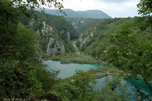 DSC_2644.JPG