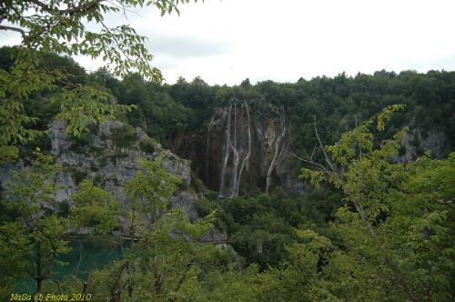 DSC_2660.JPG