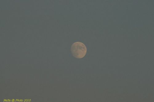 DSC_2869.JPG