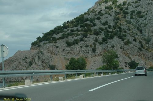 DSC_2971.JPG