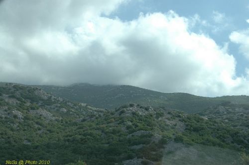 DSC_2978.JPG