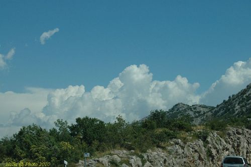 DSC_2979.JPG
