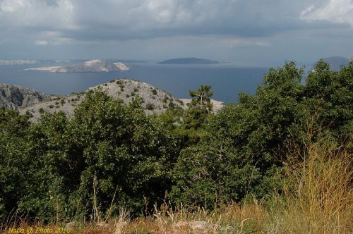 DSC_2994.JPG