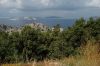 DSC_2994.JPG