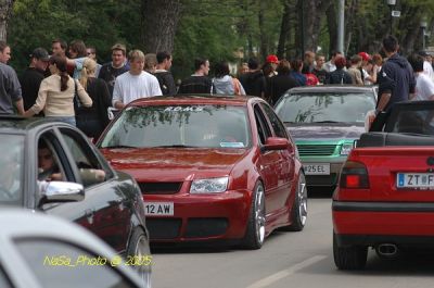DSC_8382.JPG