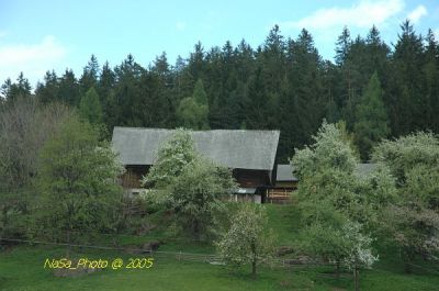 DSC_8560.JPG