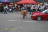 DSC_8531.JPG
