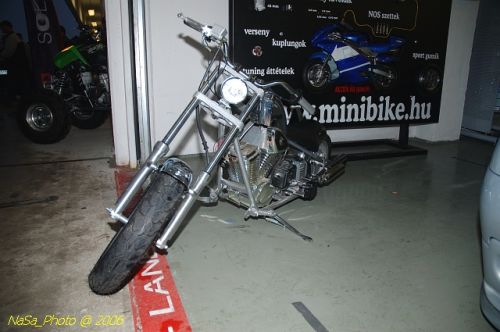 DSC_6384.jpg