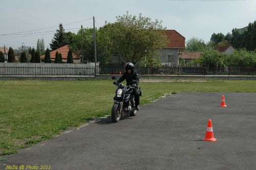 DSC_6751.JPG