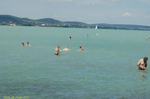 DSC_7582.JPG
