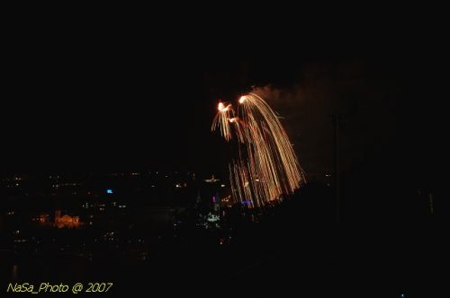 DSC_3951.jpg