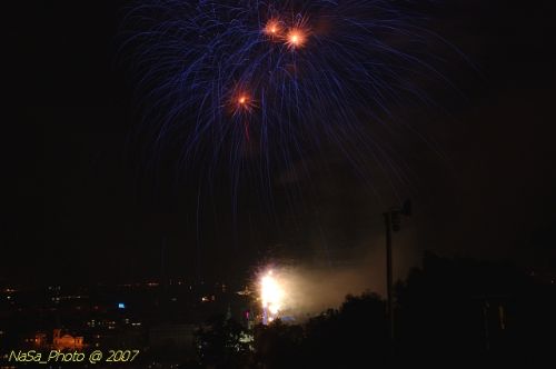 DSC_3953.jpg