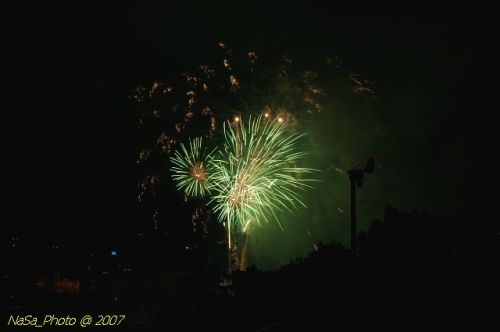 DSC_3959.jpg