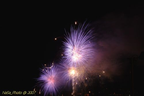 DSC_3967.jpg