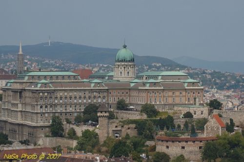 DSC_3702.jpg