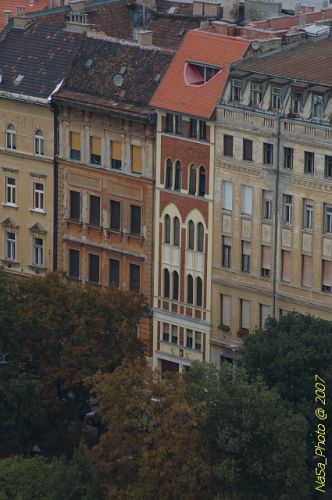 DSC_3768.jpg