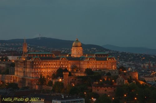 DSC_3839.jpg