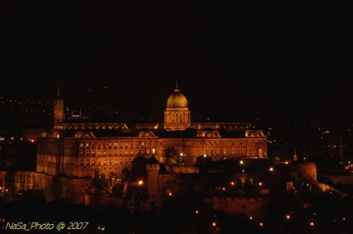 DSC_3927.jpg