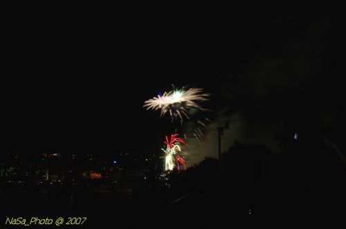 DSC_3934.jpg