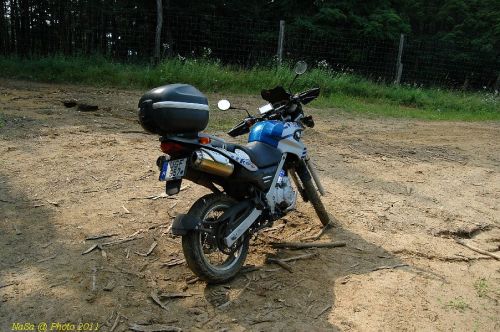 DSC_7819.JPG