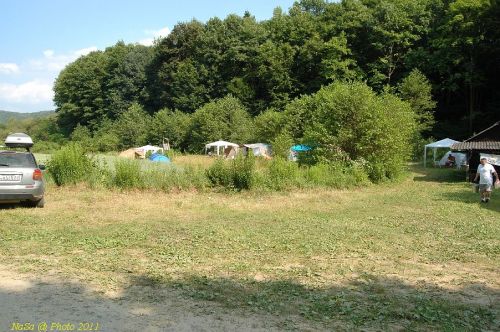 DSC_7824.JPG