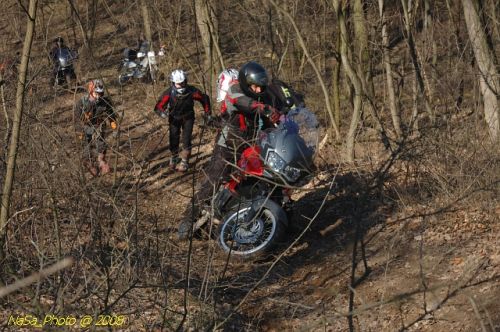 DSC_4800.jpg