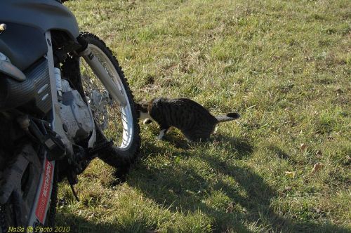 DSC_4814.JPG